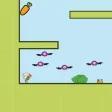 Grow Carrots & Shoot Grow Carrots & Shoot