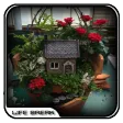 Fairy Garden Pot Design