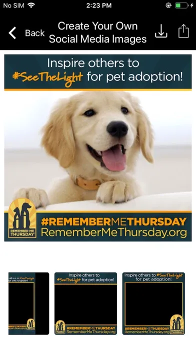 Zrzuty ekranu Remember Me Thursday