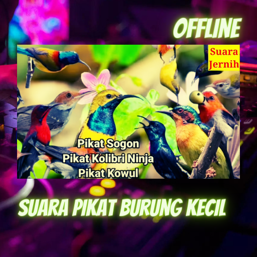 Suara Pikat Burung Kecil Oflin
