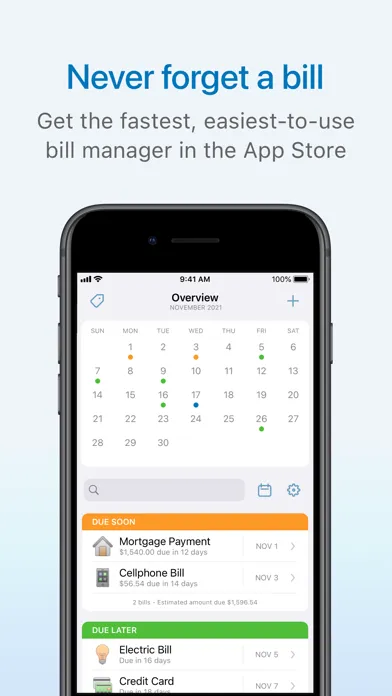 Chronicle - Bill Organizer स्क्रीनशॉट