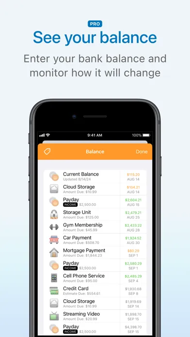 Chronicle - Bill Organizer स्क्रीनशॉट