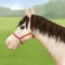 Horse Stable Tycoon