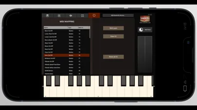 Ảnh chụp màn hình của Torero Organ