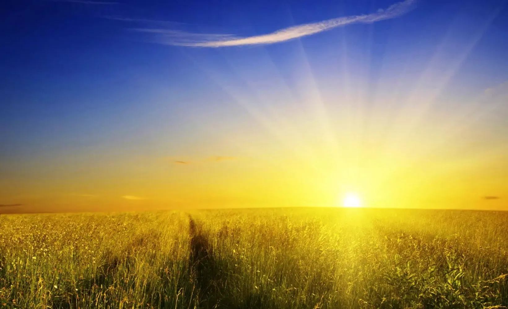 Sun Wallpapers应用截图