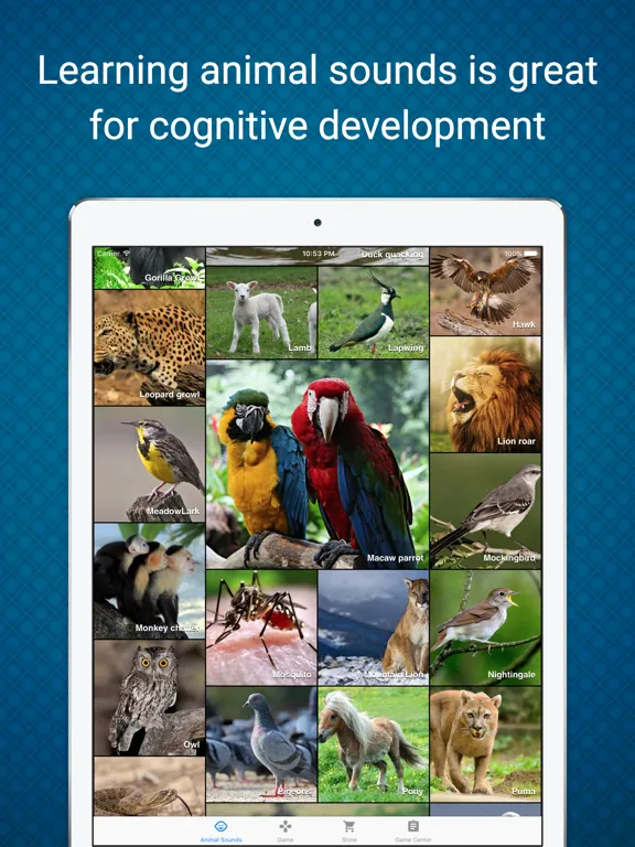 Animal Sounds - Learn & Play in a Fun Way iPad  Screenshots