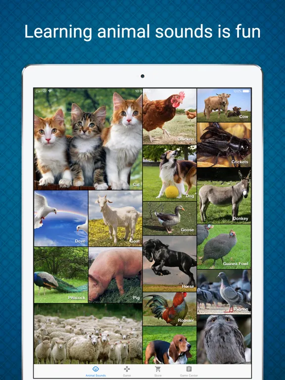 Animal Sounds - Learn & Play in a Fun Way iPad  Screenshots