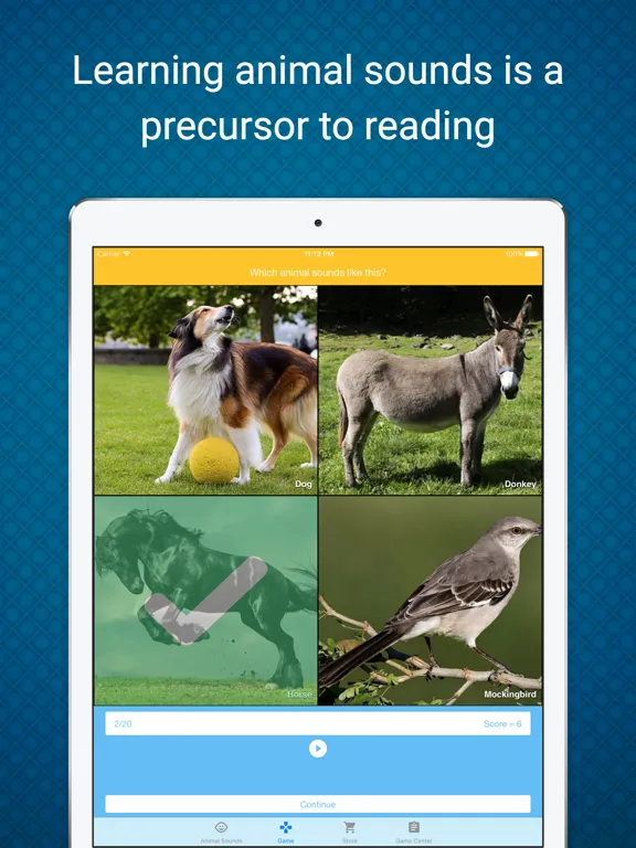 Animal Sounds - Learn & Play in a Fun Way iPad  Screenshots