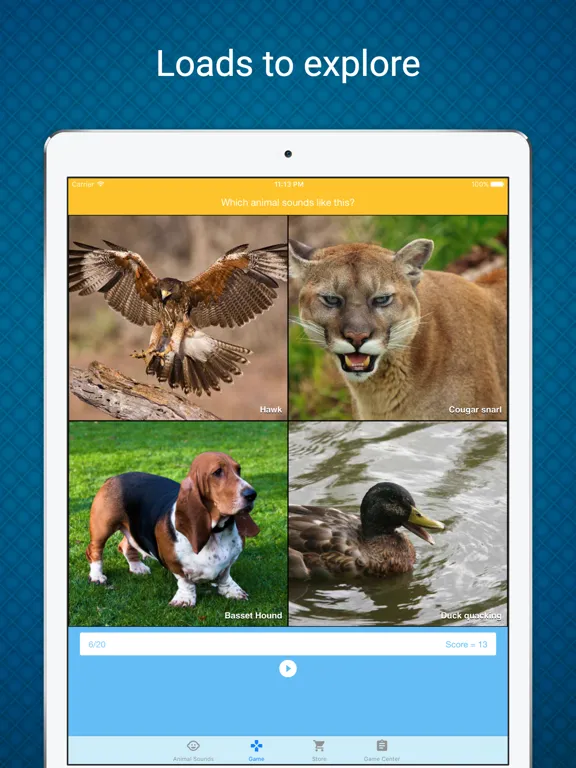 Animal Sounds - Learn & Play in a Fun Way iPad  Screenshots