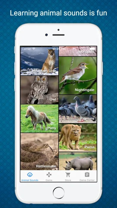 Animal Sounds - Learn & Play in a Fun Way Screenshots