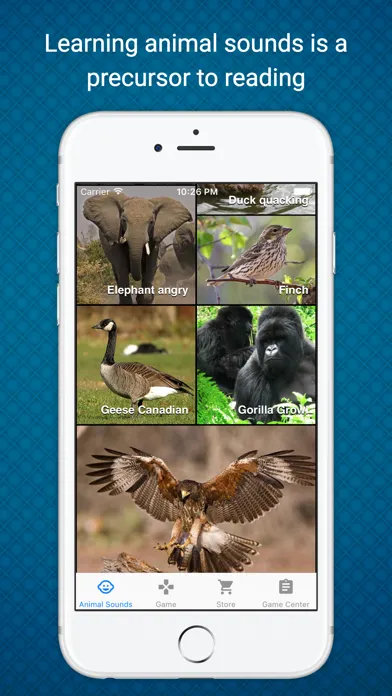 Animal Sounds - Learn & Play in a Fun Way Screenshots
