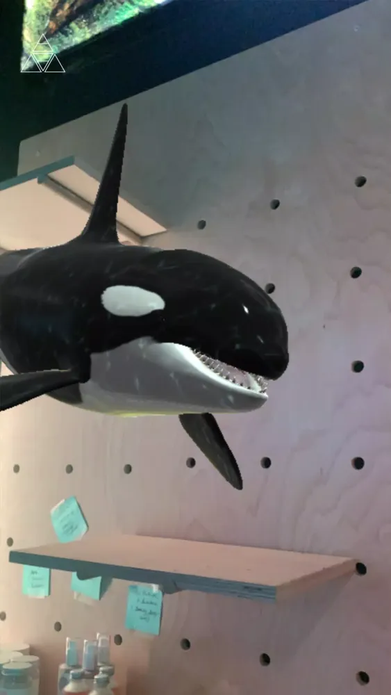 Arcadia Earth AR Toronto Screenshots