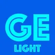 Group Expenses Light