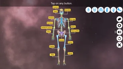 Screenshot di Our Bony Scaffold