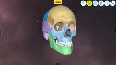 Screenshot di Our Bony Scaffold