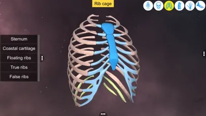 Screenshot di Our Bony Scaffold