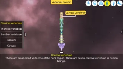 Screenshot di Our Bony Scaffold