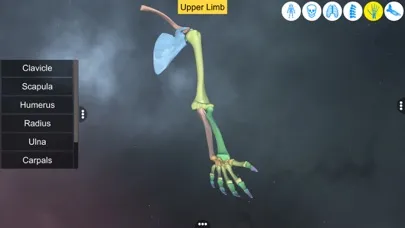 Screenshot di Our Bony Scaffold