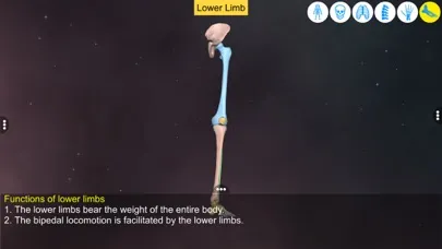 Screenshot di Our Bony Scaffold