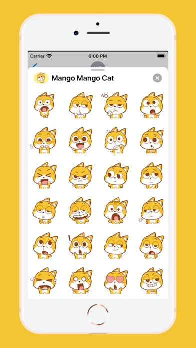 صور Mango Mango Cat