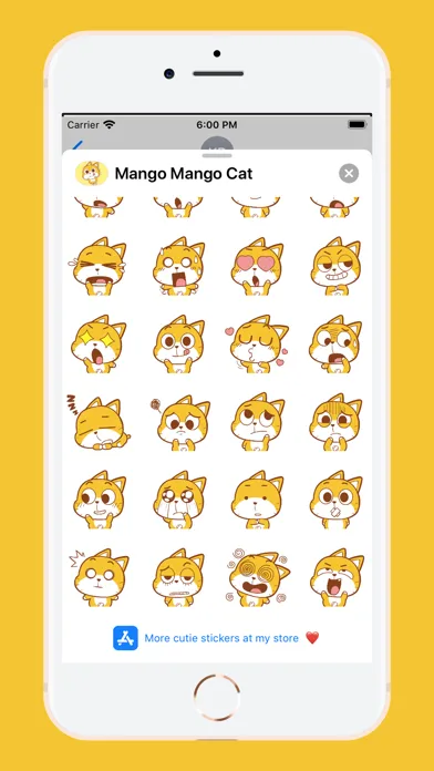 صور Mango Mango Cat