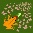 Frog vs Flutter