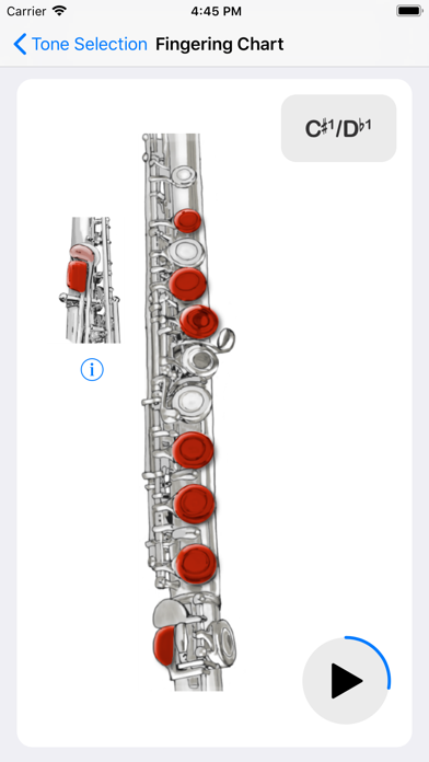 Capturas de pantalla de Flute - the App