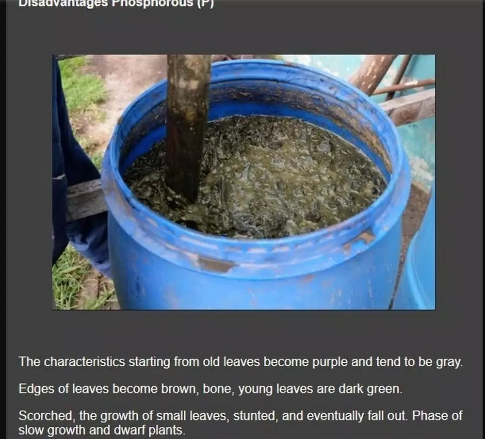 Скриншоты Pure organic fertilizer