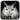 Owl Hunting Journey