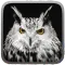 Owl Hunting Journey