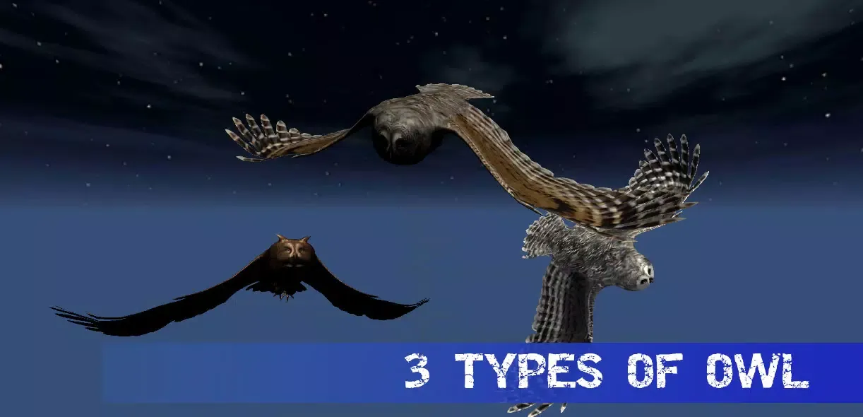 Owl Hunting Journey Screenshots