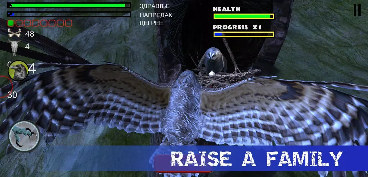 Owl Hunting Journey Screenshots