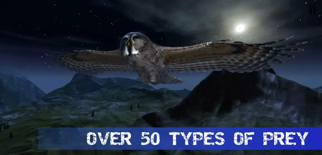 Owl Hunting Journey Screenshots