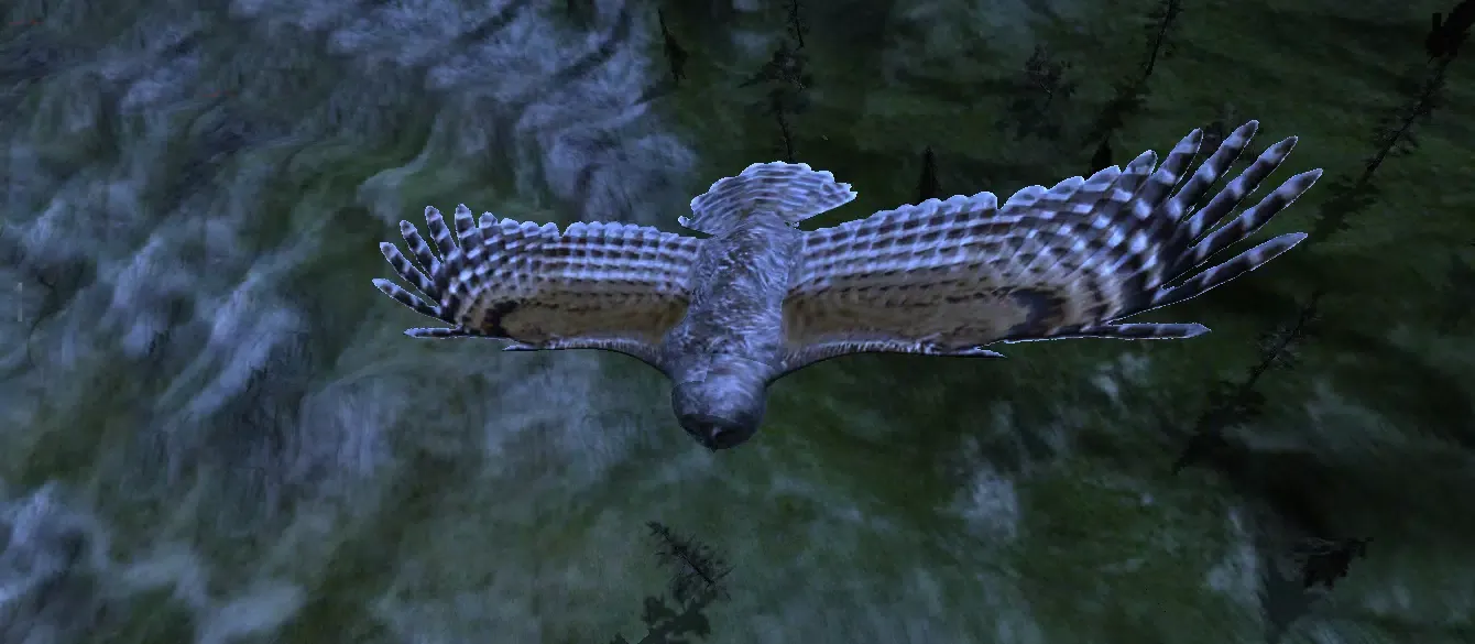 Owl Hunting Journey Screenshots