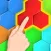 101 Hexa Puzzle Game