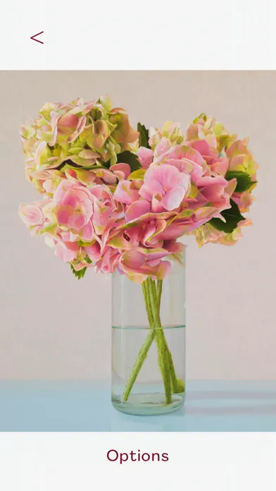 MICHAEL REID GALLERY سکرین شاٹس