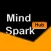 Mind Spark Hub