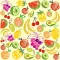 Fruits Blitz