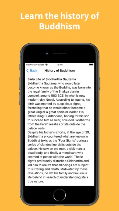 Capturas de pantalla de Mirror of Dhamma