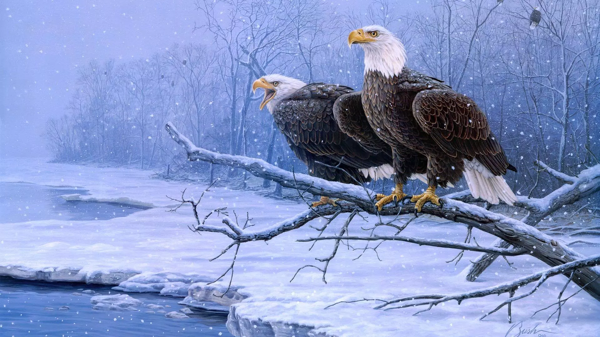 Bald Eagle. Animals Wallpapers Screenshots