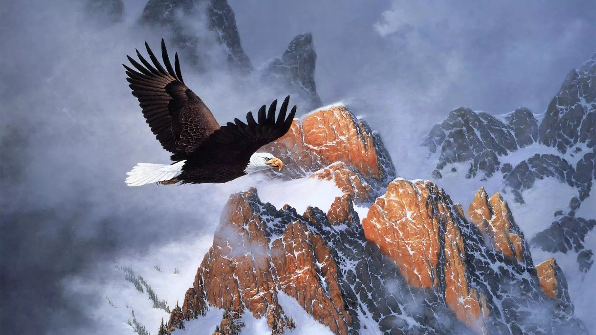 Bald Eagle. Animals Wallpapers Screenshots