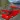 Mountain Bus Simulator 2023