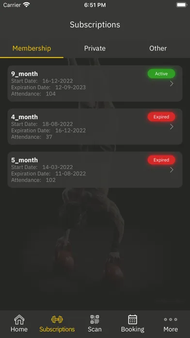 تصاویر Global Gym EG