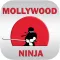 Mollywood Ninja