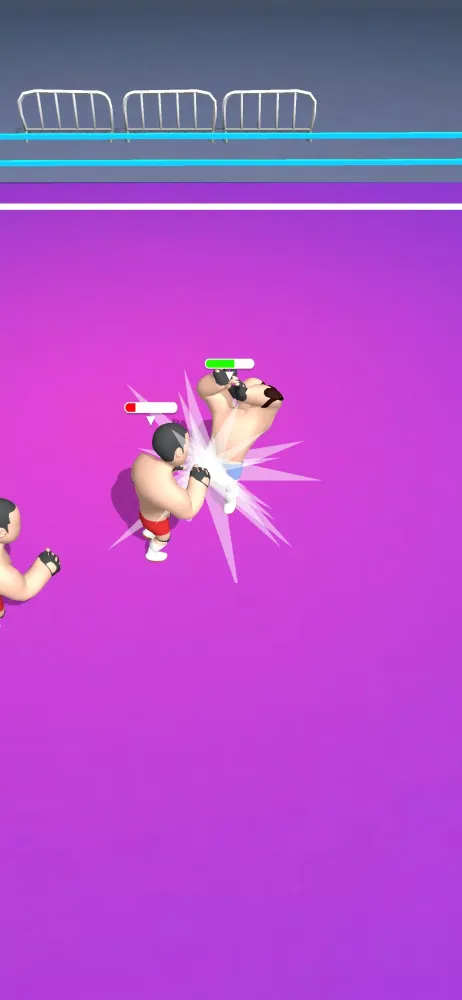 Hyper Wrestler 3D Screenshots