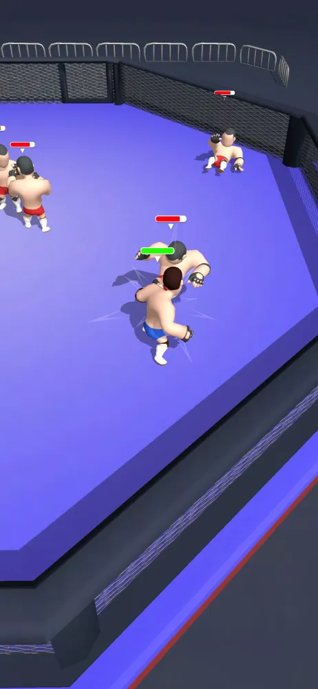Hyper Wrestler 3D Screenshots