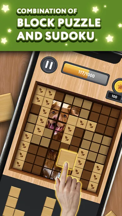 Zrzuty ekranu Block Puzzle: Hidden Pic