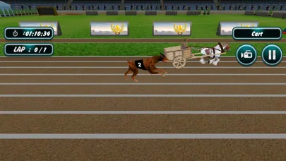 Tangkapan skrin Dog Racing
