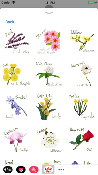 Tangkapan skrin Flower Stickers Kit