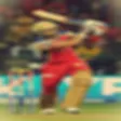 OM SAI RAM CRICKET TIPS
